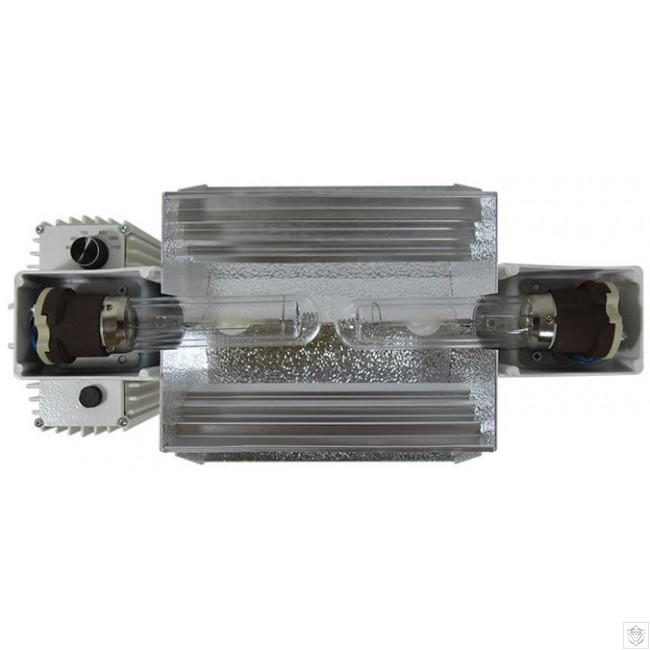 double-dpapillon-630w-3-650x650_0