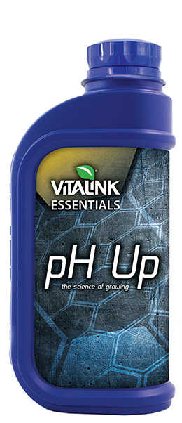 phup-1_test1-18-2