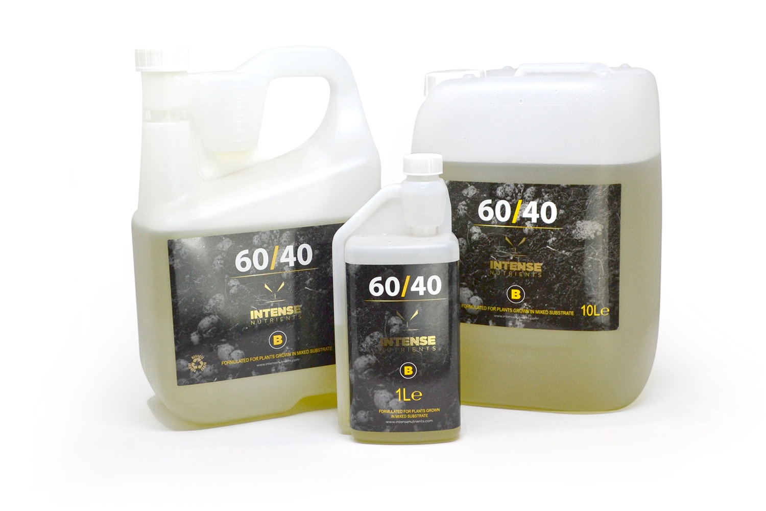 6040-B-group-web-3