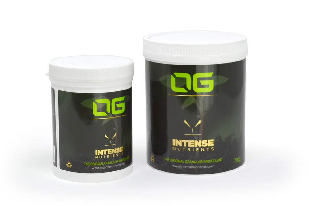 OG-Original-group-Web-2