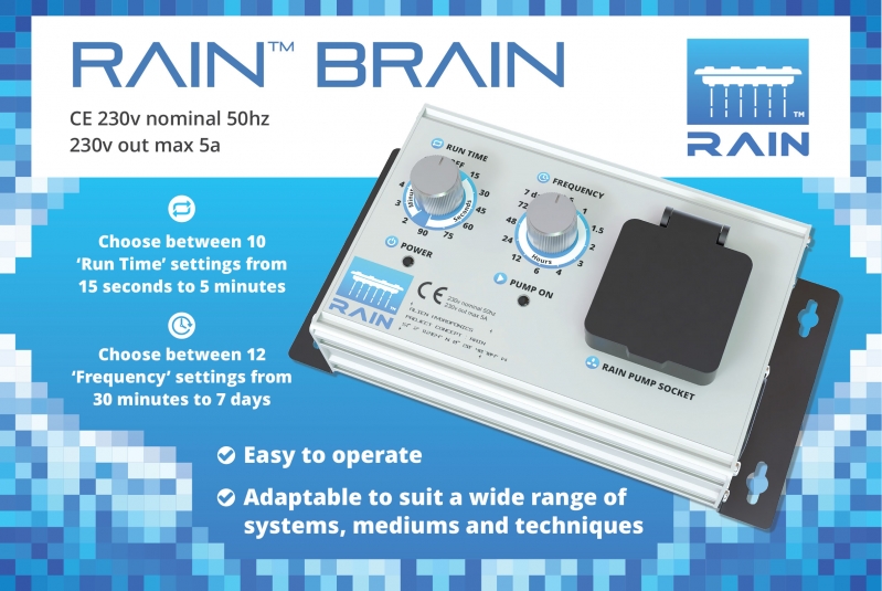 RAIN-BRAIN-COVER-3